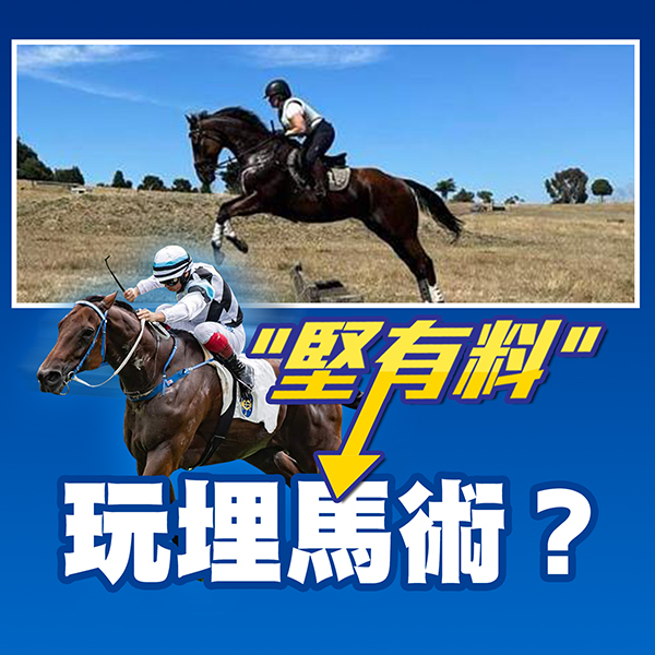 堅有料玩埋馬術？