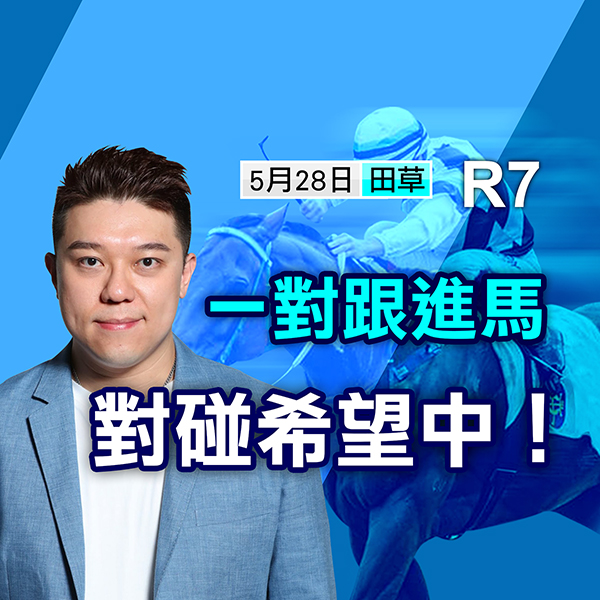 一對跟進馬 對碰希望中..