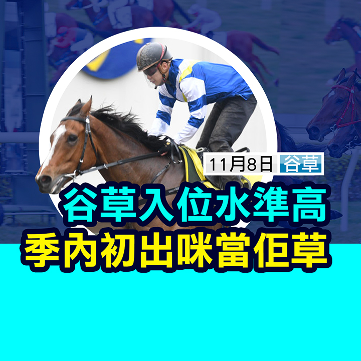 入位水準高  咪當佢草