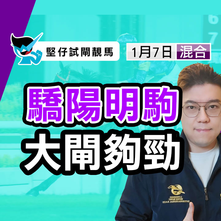 驕陽明駒 大閘磨利