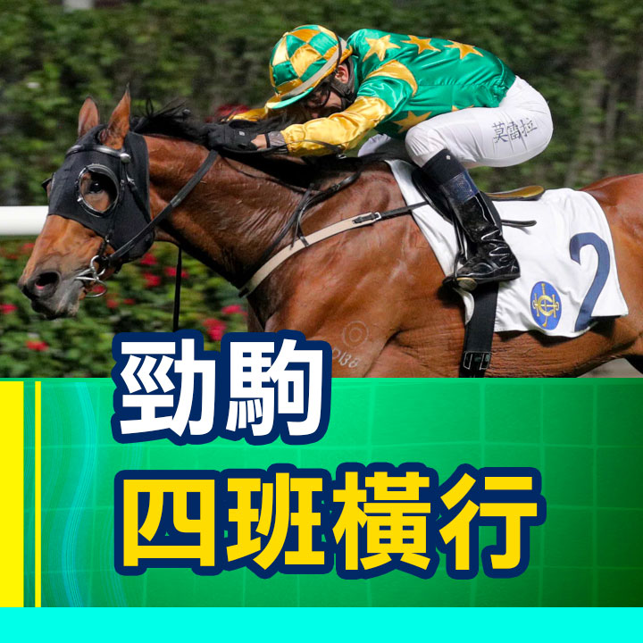 勁駒 四班橫行