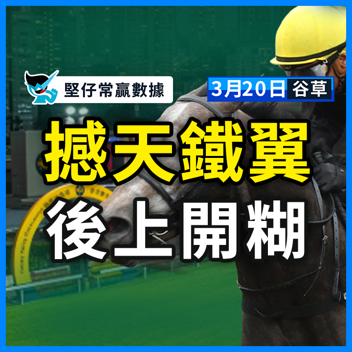 撼天铁翼 后上开糊