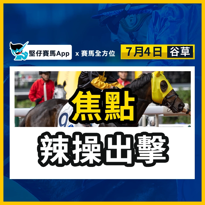 焦點 辣操出擊