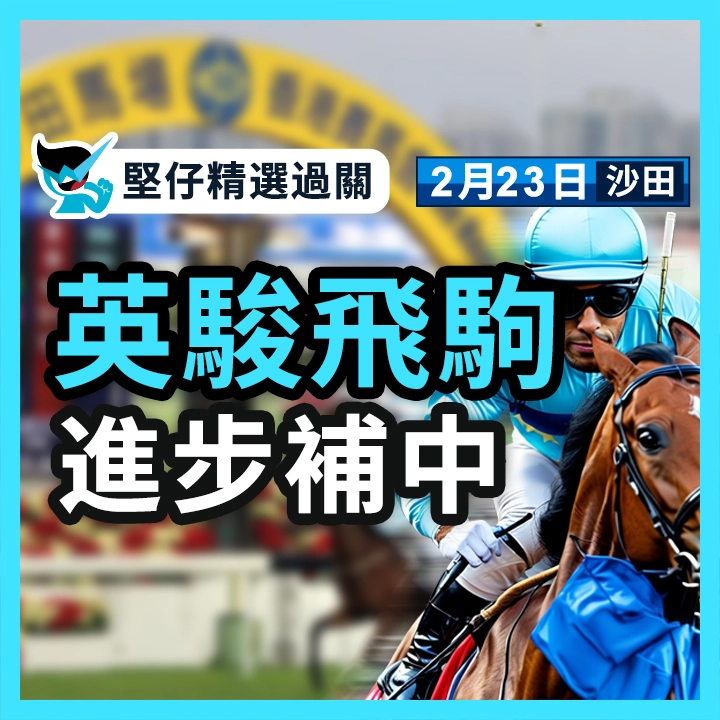 英骏飞驹 进步补中