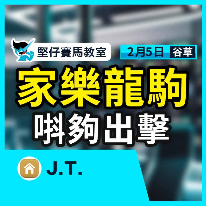 家乐龙驹 唞够出击
