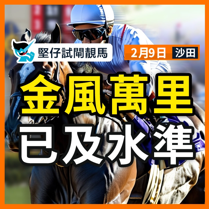金风万里 已及水准