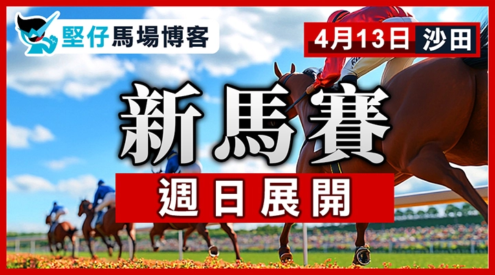 新馬賽 週日展開