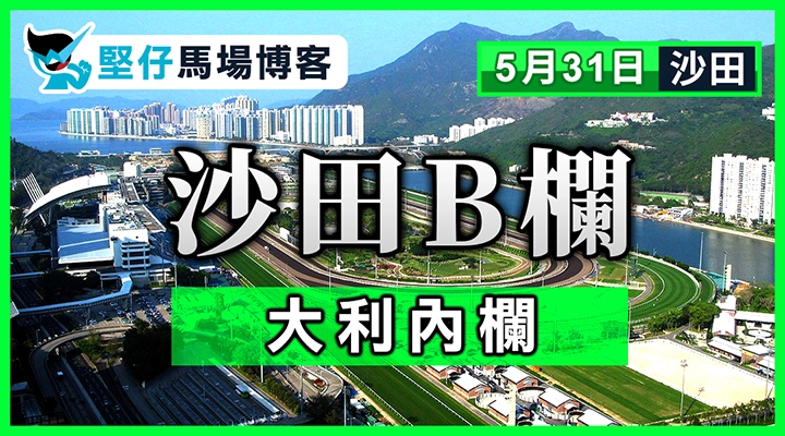 沙田B欄 大利內欄