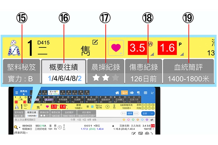 使用手冊第二章【馬匹詳情】15-19說明 