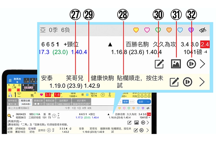 使用手册第二章【马匹详情】27-32说明