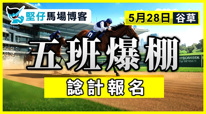 大衛希斯 仍未認輸
