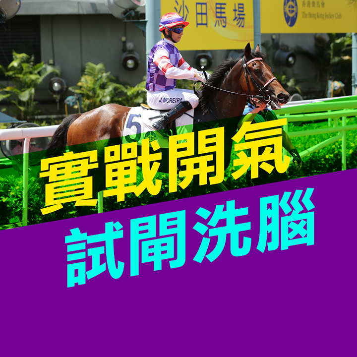實戰開氣  試閘洗腦 