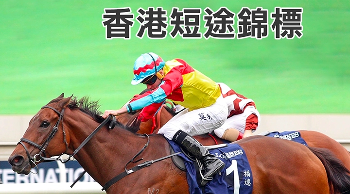 國際賽前瞻 (1) - 香港短途錦標