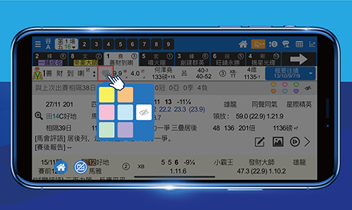 堅仔賽馬App 排位功能