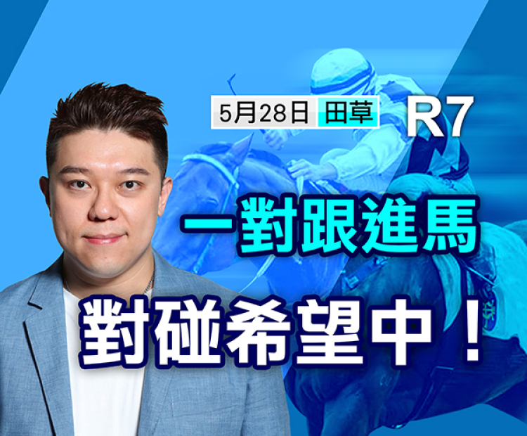 一对跟进马 对碰希望中