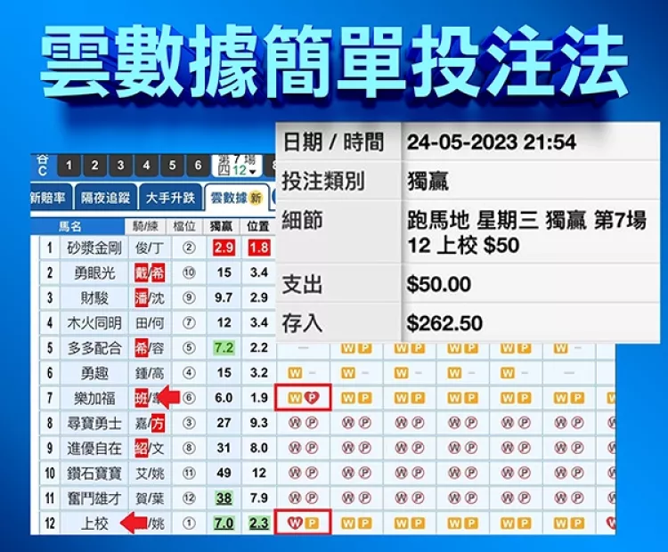 云数据简单投注法