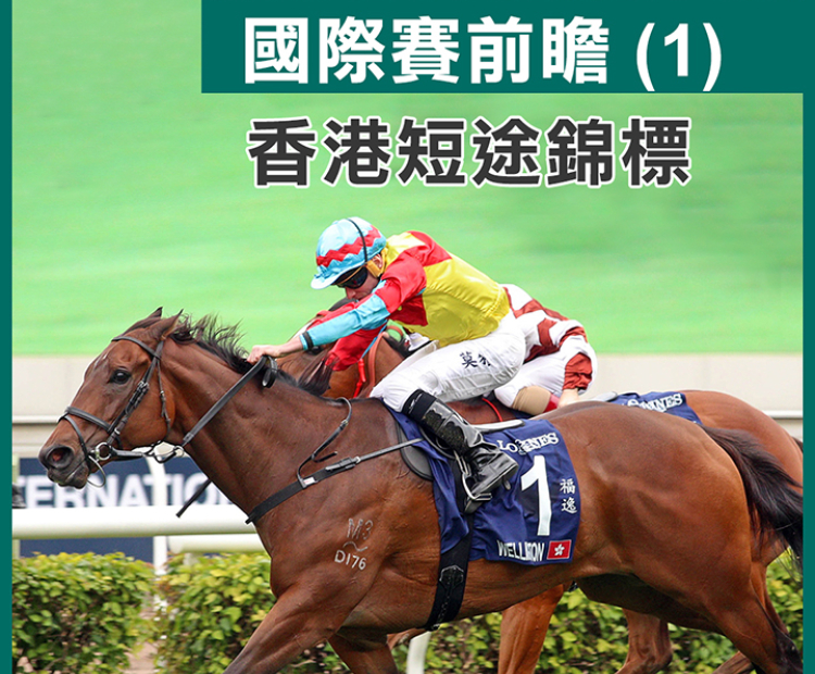 國際賽前瞻 (1) - 香港短途錦標