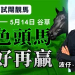 出色頭馬，操好再贏
