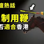 限制用鞭 是否適合香港
