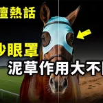 防沙眼罩 泥草作用大不同